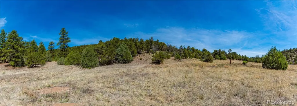 Tbd L Arnold Drive Cotopaxi CO 81223