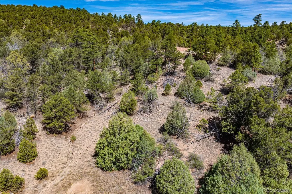 Tbd L Arnold Drive Cotopaxi CO 81223