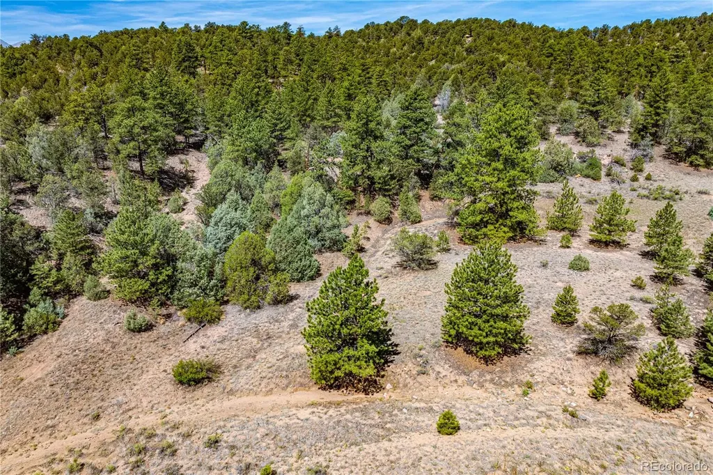 Tbd L Arnold Drive Cotopaxi CO 81223