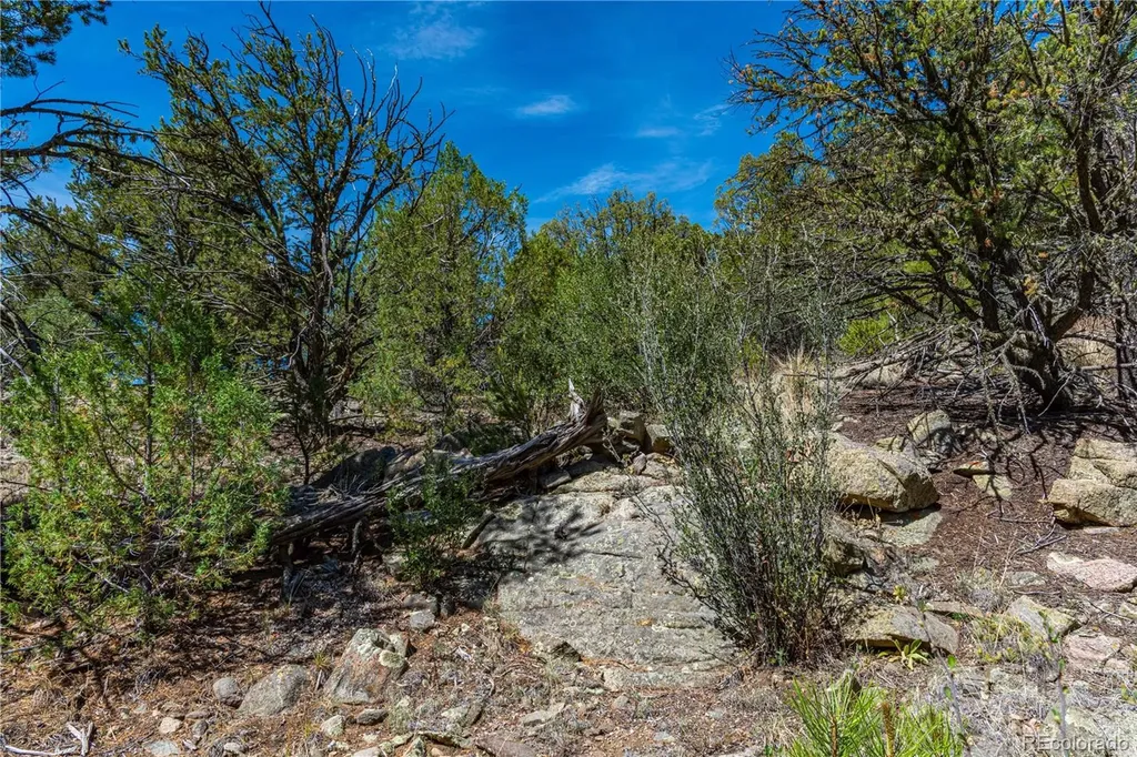 Tbd L Arnold Drive Cotopaxi CO 81223