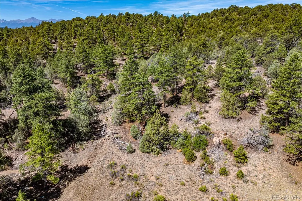 Tbd L Arnold Drive Cotopaxi CO 81223