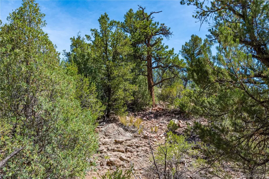 Tbd L Arnold Drive Cotopaxi CO 81223