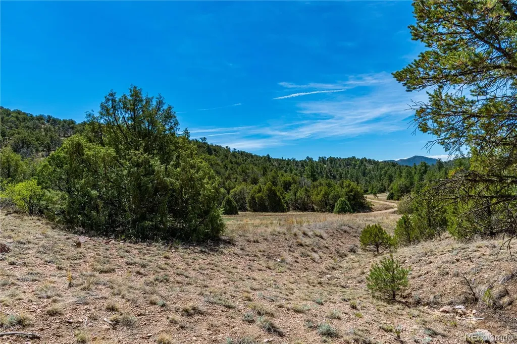 Tbd L Arnold Drive Cotopaxi CO 81223