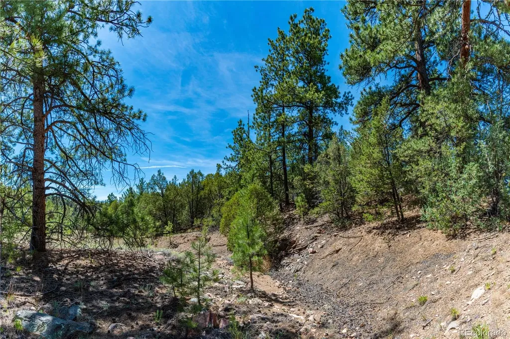 Tbd L Arnold Drive Cotopaxi CO 81223