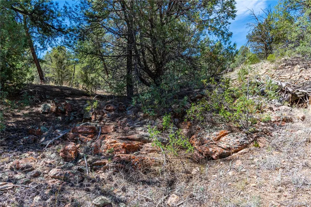 Tbd L Arnold Drive Cotopaxi CO 81223