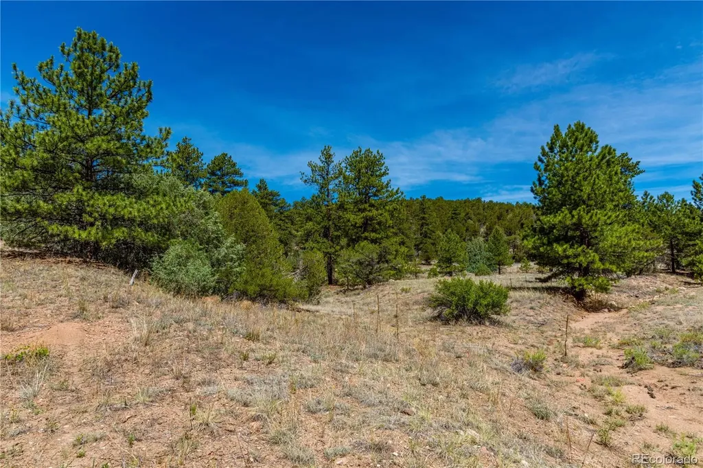 Tbd L Arnold Drive Cotopaxi CO 81223