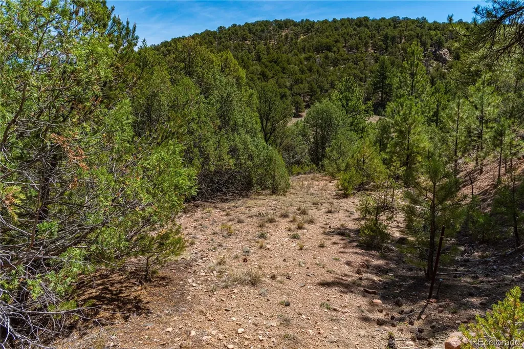 Tbd L Arnold Drive Cotopaxi CO 81223