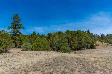 Tbd L Arnold Drive Cotopaxi CO 81223