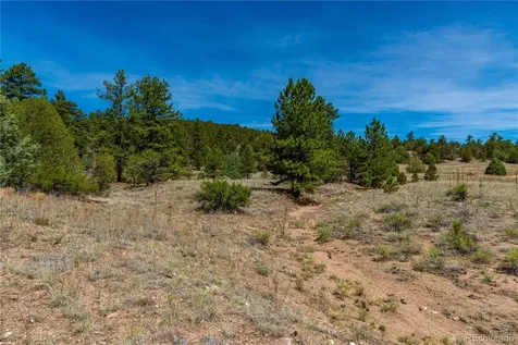 Tbd L Arnold Drive Cotopaxi CO 81223