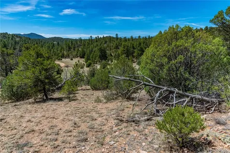 Tbd L Arnold Drive Cotopaxi CO 81223