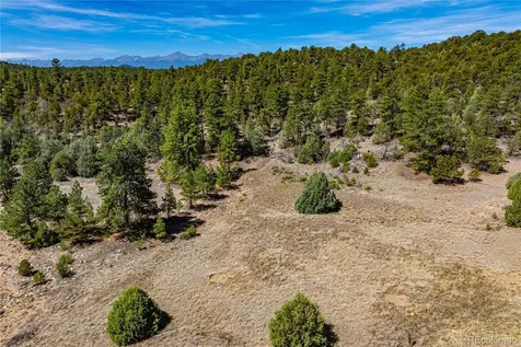 Tbd L Arnold Drive Cotopaxi CO 81223