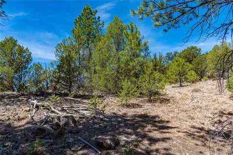 Tbd L Arnold Drive Cotopaxi CO 81223