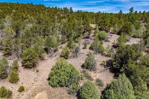 Tbd L Arnold Drive Cotopaxi CO 81223