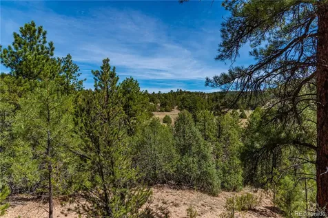 Tbd L Arnold Drive Cotopaxi CO 81223