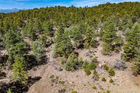 Tbd L Arnold Drive Cotopaxi CO 81223