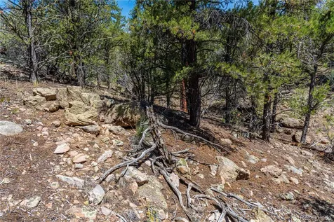 Tbd L Arnold Drive Cotopaxi CO 81223