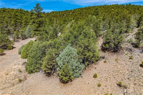 Tbd L Arnold Drive Cotopaxi CO 81223