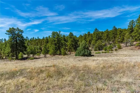 Tbd L Arnold Drive Cotopaxi CO 81223