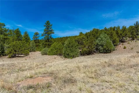 Tbd L Arnold Drive Cotopaxi CO 81223