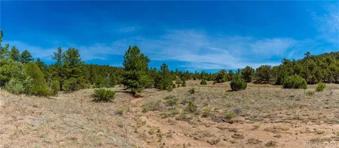 Tbd L Arnold Drive Cotopaxi CO 81223