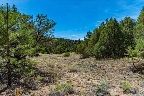 Tbd L Arnold Drive Cotopaxi CO 81223