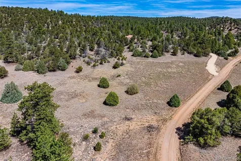Tbd L Arnold Drive Cotopaxi CO 81223
