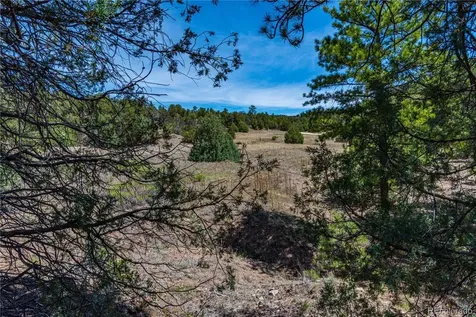 Tbd L Arnold Drive Cotopaxi CO 81223