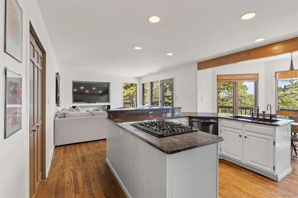 6159 S Skyline Drive Evergreen CO 80439
