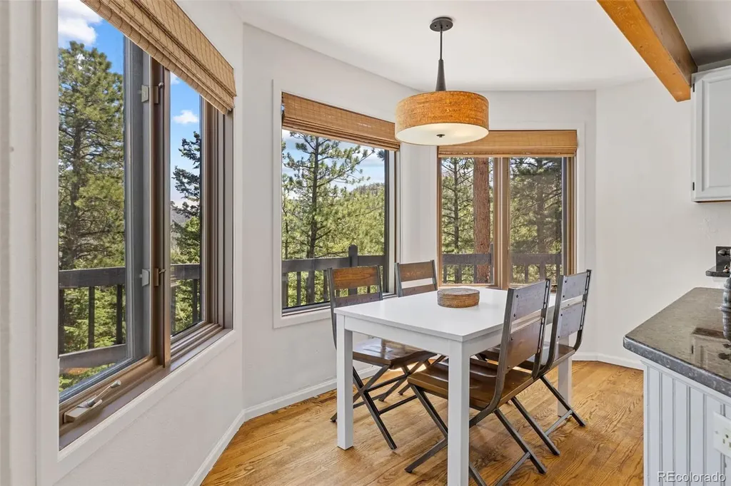 6159 S Skyline Drive Evergreen CO 80439