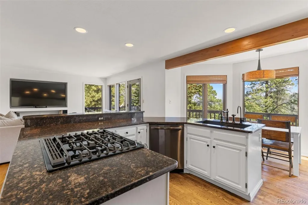 6159 S Skyline Drive Evergreen CO 80439