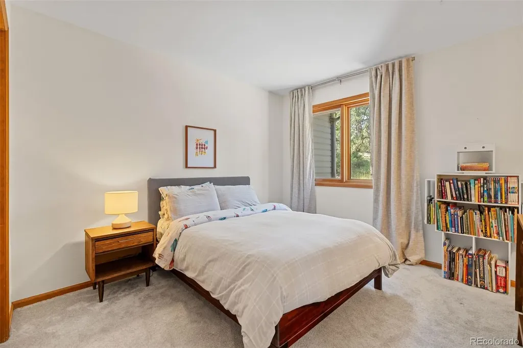 6159 S Skyline Drive Evergreen CO 80439