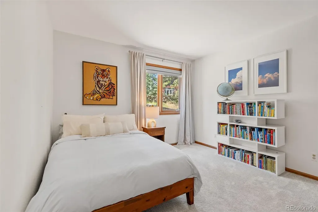 6159 S Skyline Drive Evergreen CO 80439