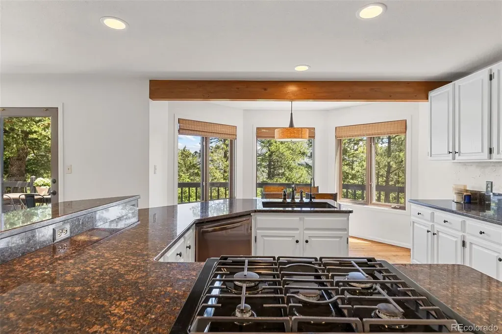 6159 S Skyline Drive Evergreen CO 80439