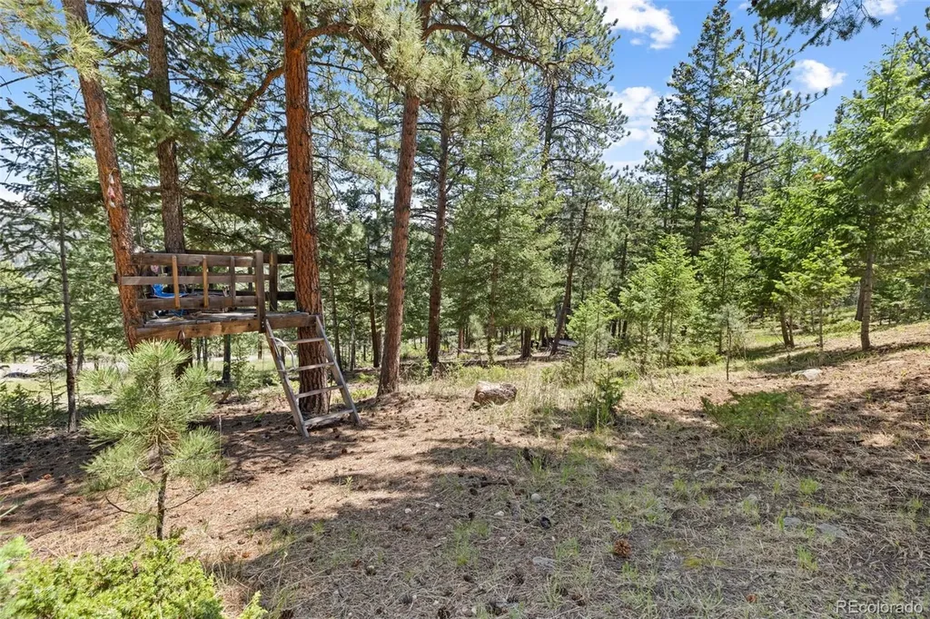 6159 S Skyline Drive Evergreen CO 80439