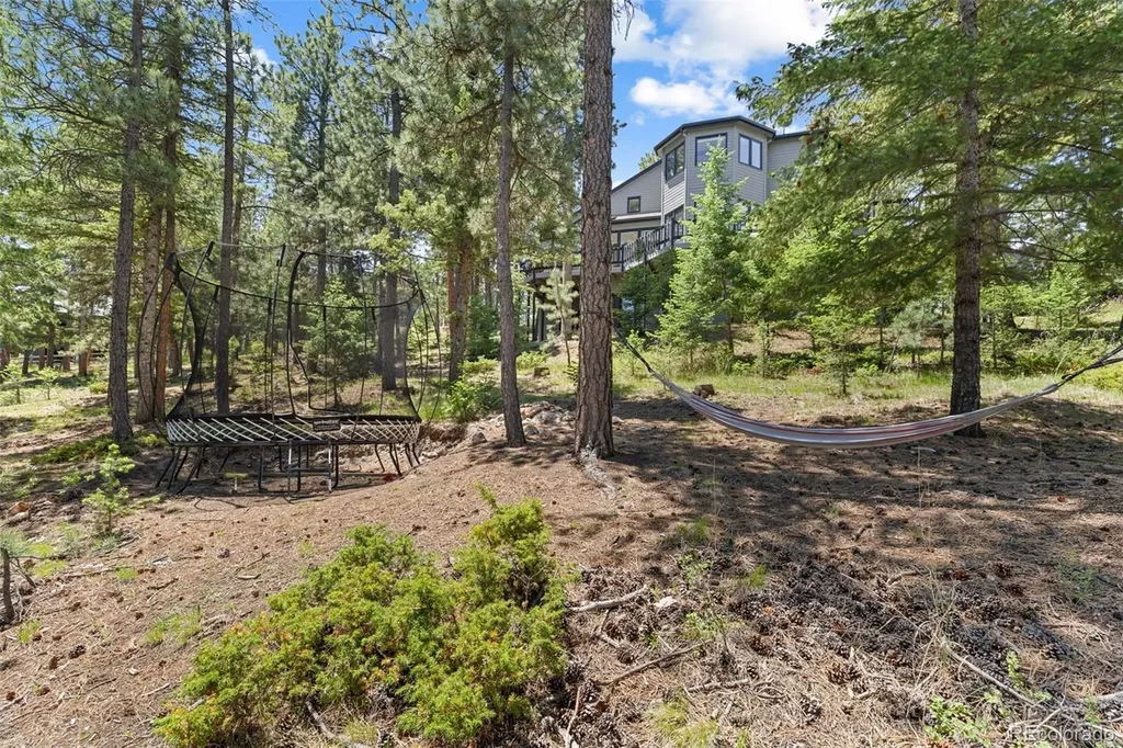 6159 S Skyline Drive Evergreen CO 80439