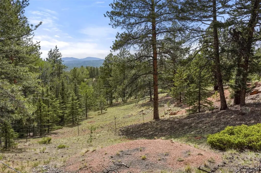 247 Pinewood Road Florissant CO 80816