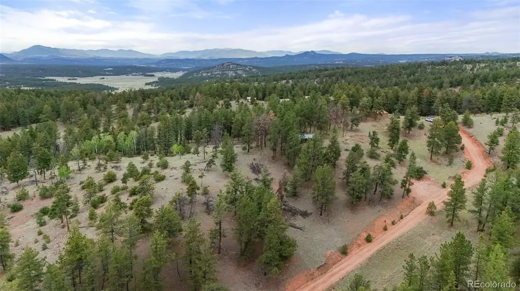 247 Pinewood Road Florissant CO 80816