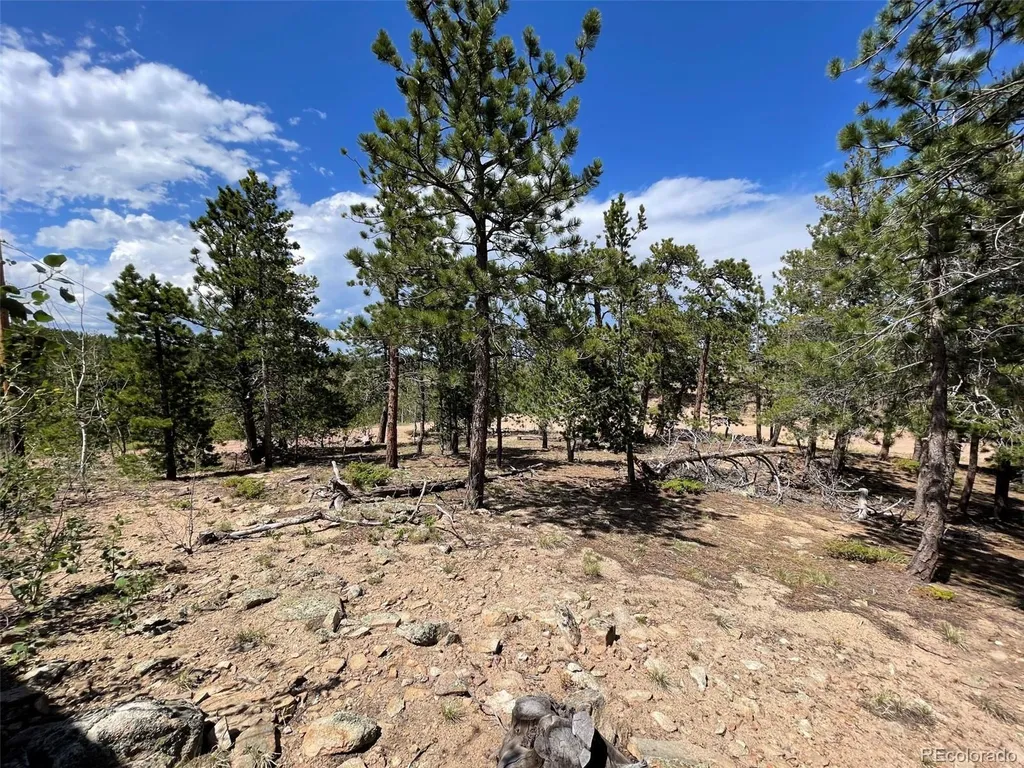 595 Divide View Drive Golden CO 80403