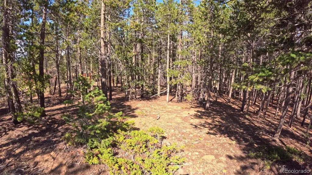 595 Divide View Drive Golden CO 80403