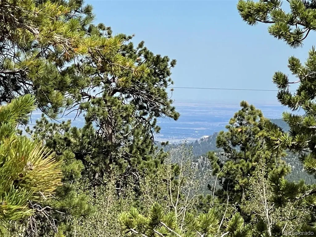 595 Divide View Drive Golden CO 80403
