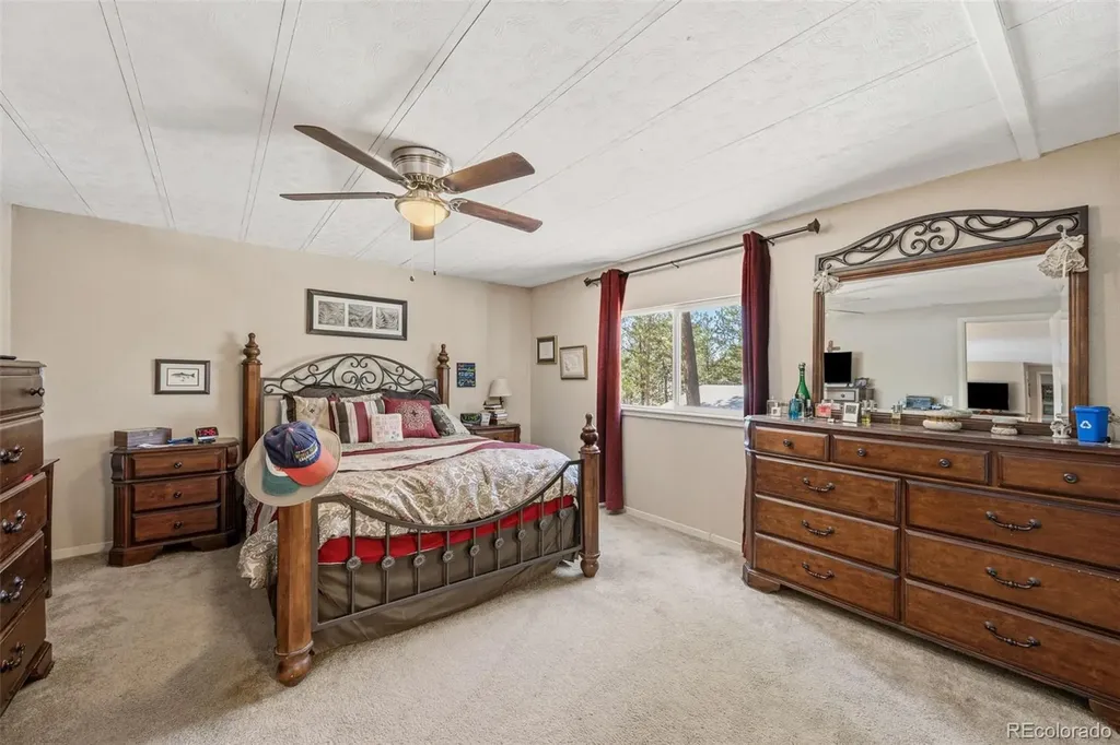 1299 Pikes Peak Drive Florissant CO 80816