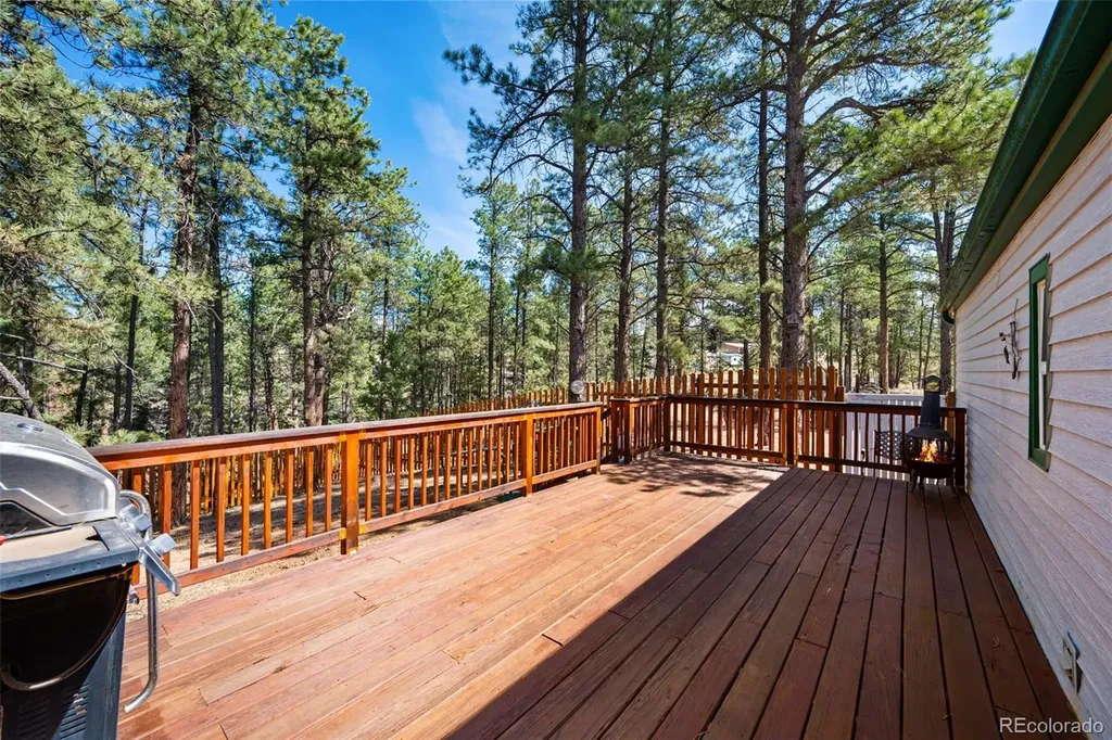 1299 Pikes Peak Drive Florissant CO 80816