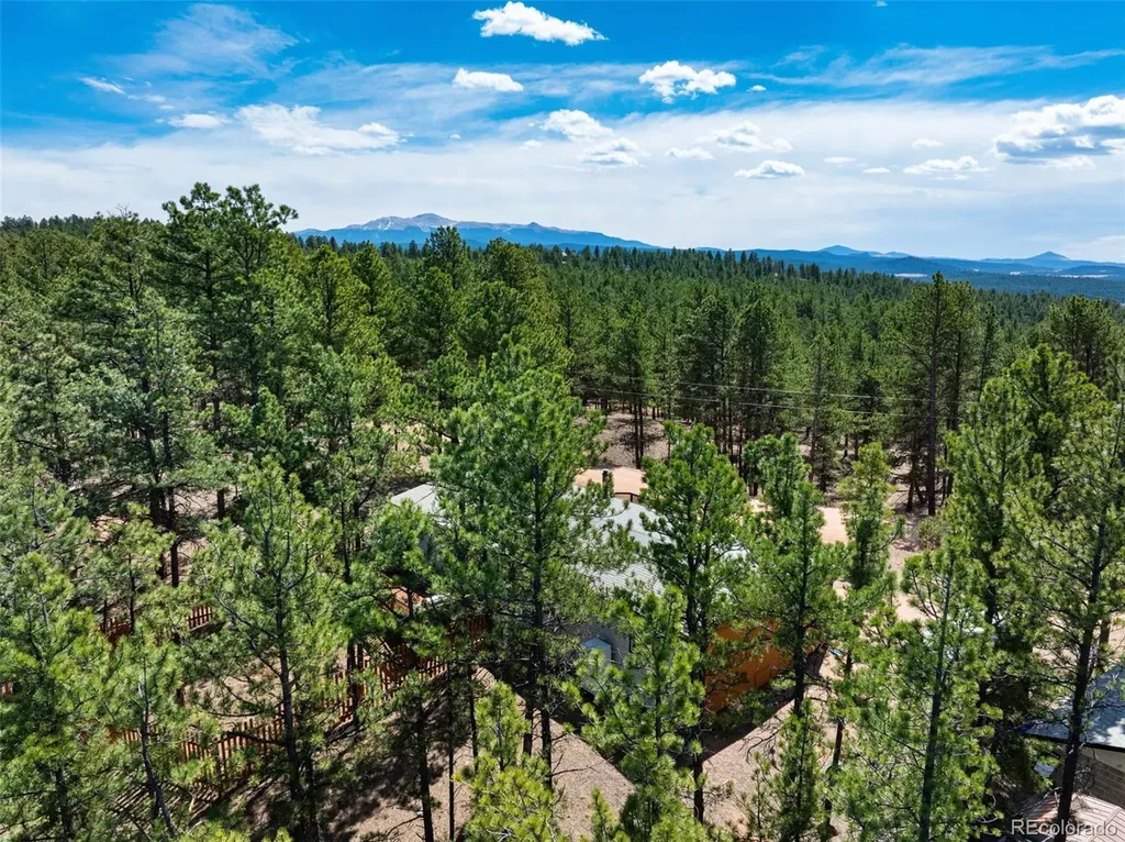 1299 Pikes Peak Drive Florissant CO 80816