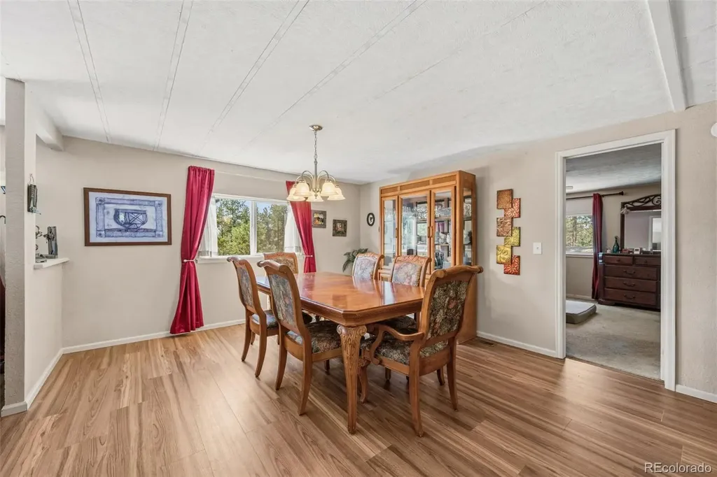 1299 Pikes Peak Drive Florissant CO 80816