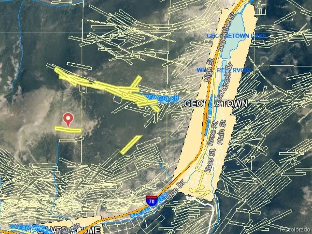 Democrat Mountain Claims Georgetown CO 80444
