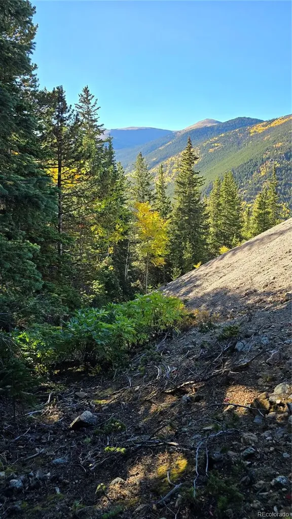Democrat Mountain Claims Georgetown CO 80444