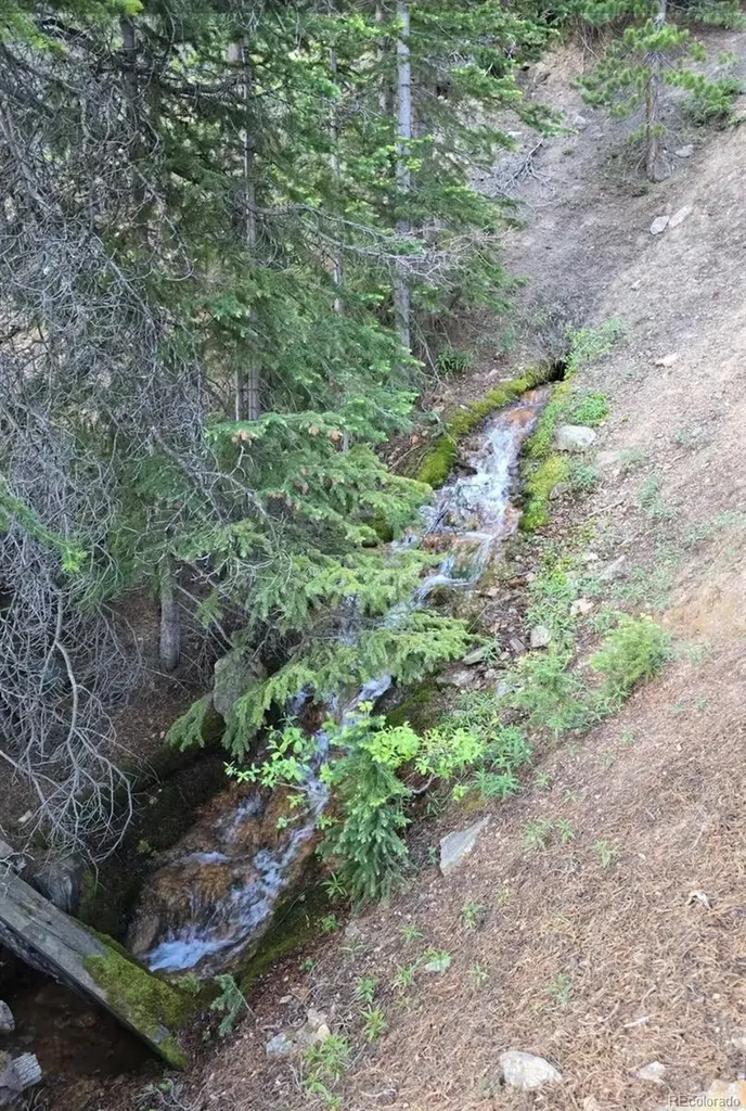 Democrat Mountain Claims Georgetown CO 80444