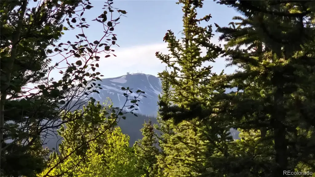 Democrat Mountain Claims Georgetown CO 80444