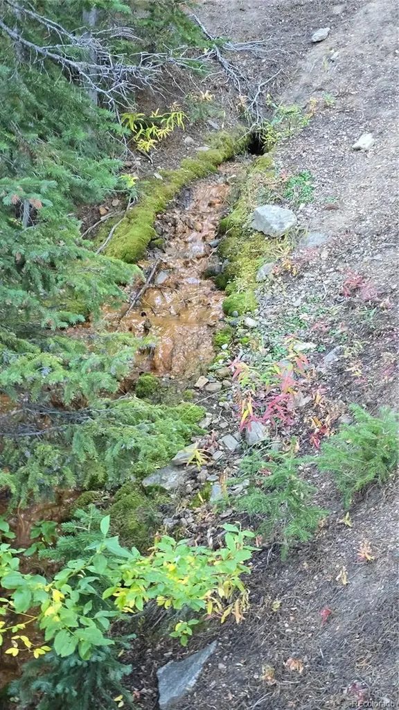 Democrat Mountain Claims Georgetown CO 80444