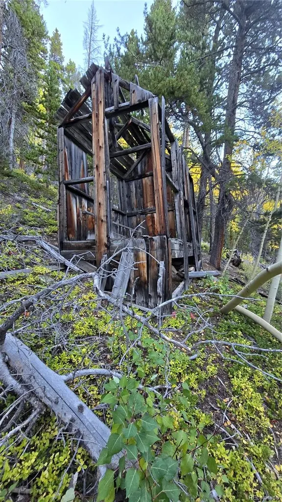 Democrat Mountain Claims Georgetown CO 80444